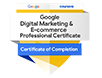 Goggle Digital Marketing Professional